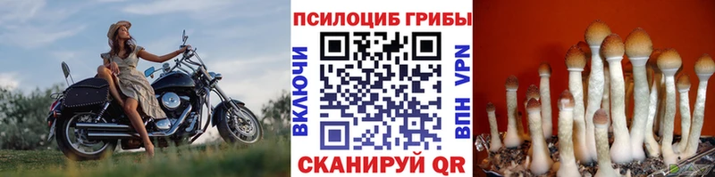 Галлюциногенные грибы мухоморы Инза
